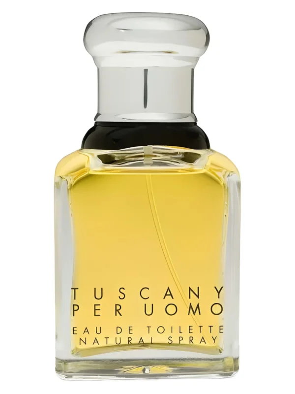 men perfumes (1)